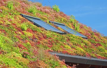 Hartoft End living roof systems